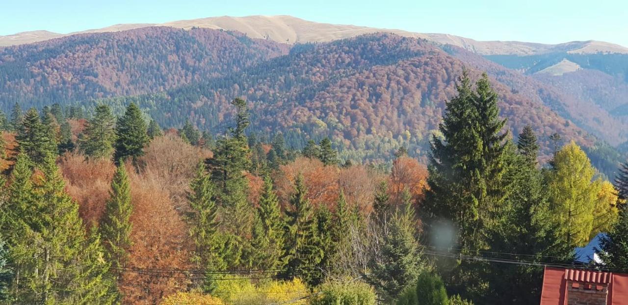 Apartamente Private A&L View Sinaia Luaran gambar