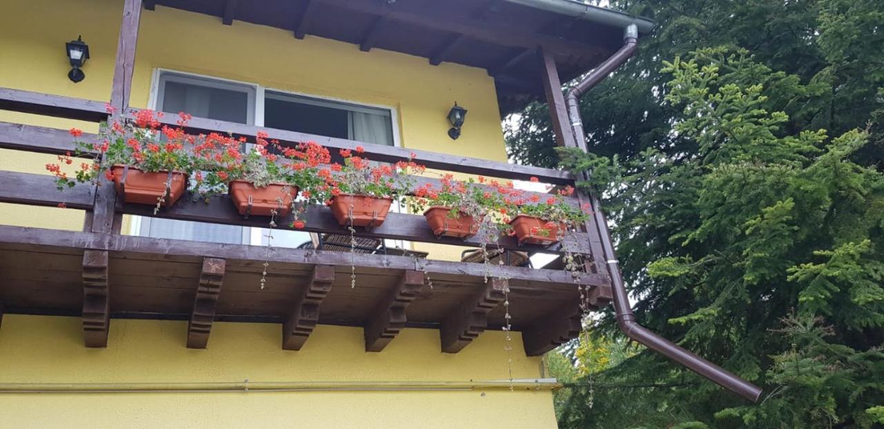 Apartamente Private A&L View Sinaia Luaran gambar